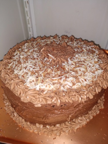 Chocolate Coconut cake.webp