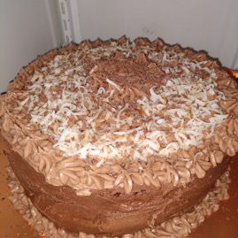 Chocolate Coconut cake.webp